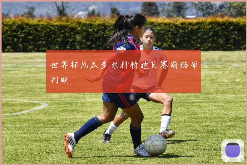 世界杯厄瓜多尔科特迪瓦赛前赔率判断