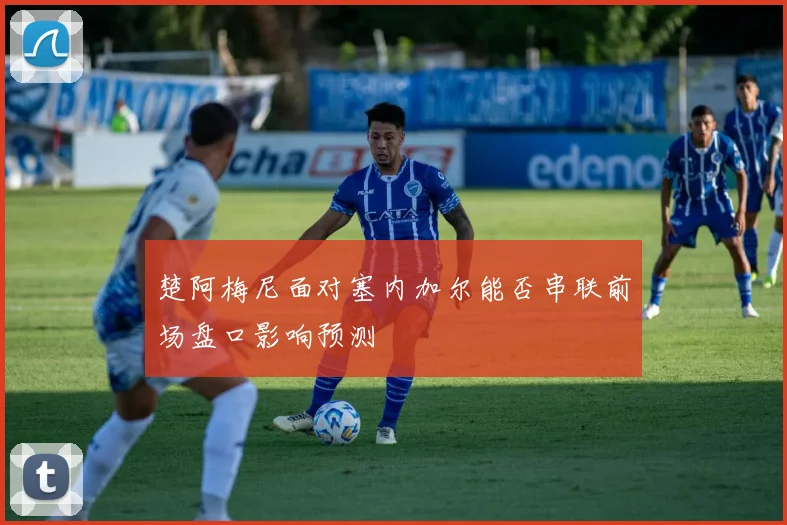 楚阿梅尼面对塞内加尔能否串联前场盘口影响预测