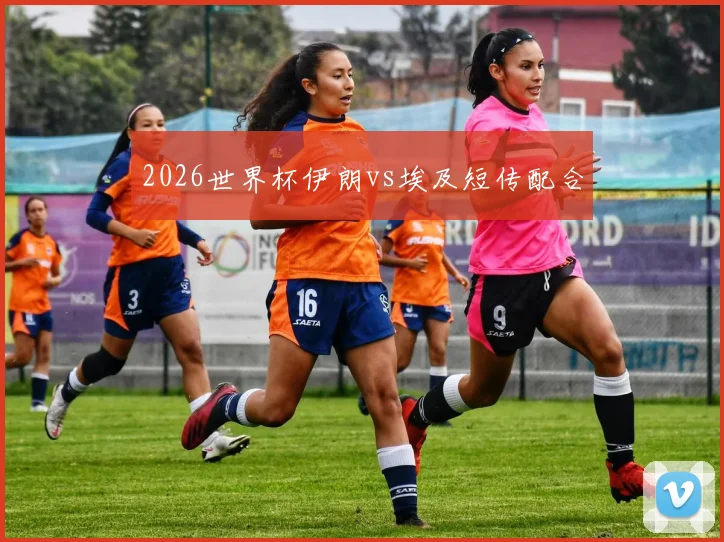 2026世界杯伊朗vs埃及短传配合